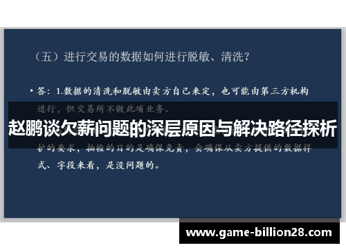 赵鹏谈欠薪问题的深层原因与解决路径探析